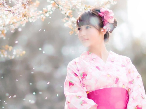 注册商标“樱源”评估报告